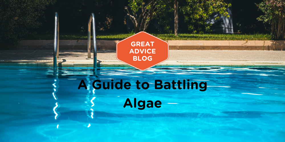 A Guide to Battling Algae