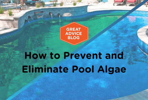How to Prevent and Eliminate Pool Algae