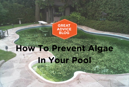 How To Prevent Algae In Your Pool