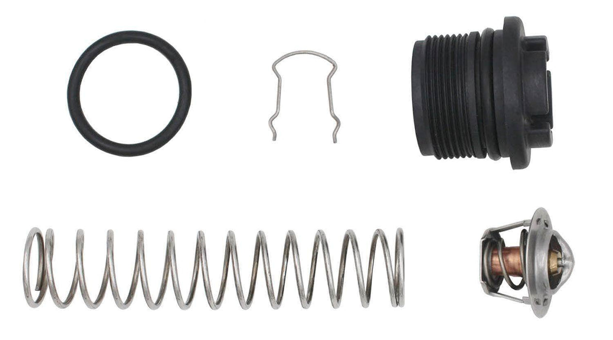 Pentair/Sta-Rite Mastertemp/Max-E-Therm Heater Thermal Regulator Kit -
